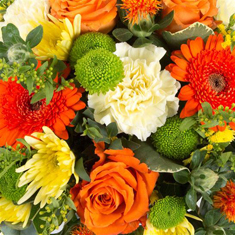 Florist&#39;s Choice container Arrangement