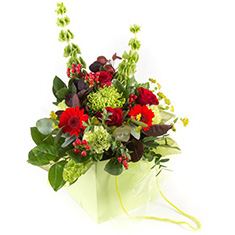 Gift Bag lime and red