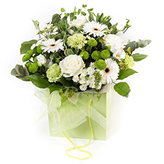 Gift Bag lime and white
