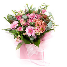  Gift Bag pinks