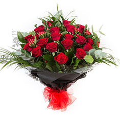 Two Dozen  Roses
